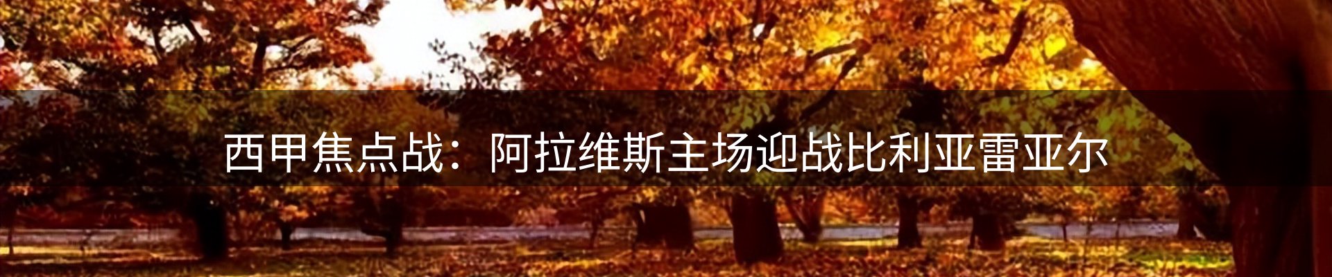 资讯聚合