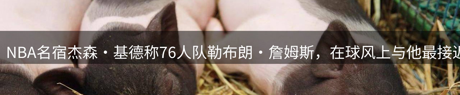 资讯聚合